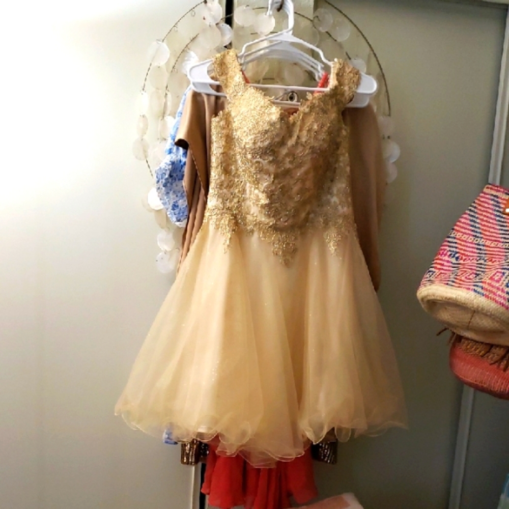 Collection Shimmering Gold Dance Costume